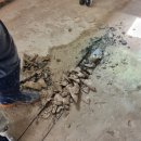 상가식육점 이미지