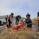 타이어마을 이미지