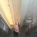 덤밸런스 요가 이미지