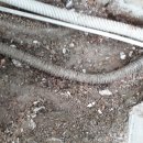 에이스컴퍼니 이미지