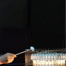 해일농장 이미지