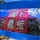 명칼국수 이미지