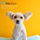 뽀미 애견 미용샵 이미지