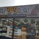 멍멍샾 이미지