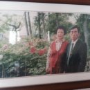 시절십자수