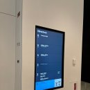 마크오브제이 | [뉴욕 여행]뉴욕 여행 필수 코스, MoMA 모마 전시회 다녀온 후