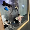 즐거운 한국사(하) | 경기도어린이박물관 예약·주차·필수팁 총정리! 잭과 콩나무부터 스마일푸드(푸드코트)까지 완벽 후기