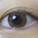 안경나라사창점 위드렌즈 이미지