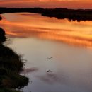 아남주유소 이미지