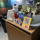 형제집 | 서울대입구 곱창 존맛집 발견 큰형제곱창 혼 후기