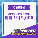 황소 공인중개사사무소 네이버블로그