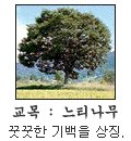 산청초등학교 이미지