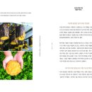 한국의 산삼과 상황버섯 이미지