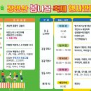 장안산 봄나물 축제 이미지