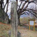 비중리 석조광배 이미지