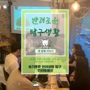 힐펫 | &lt;반려로운 탐구생활&gt; 세 번째 수다모임 이야기