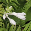 연못 속 풍경 이미지