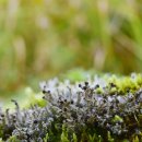 세석가는길 이미지