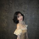 조이조이 마이데일리