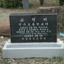 지수초등학교 이미지