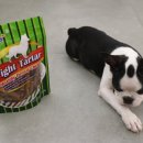 굿플러스덴탈 이미지