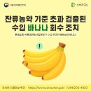 롯데쇼핑(주) 롯데마트사업본부 | 잔류농약 기준 초과 검출된 수입 ‘바나나’ 회수 조치