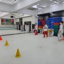 타이거즈 태권도 이미지