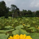 중국 청두 지역에서. 중국어통역 직원 구합니다. 단기 알바 3개월도 가능 장기 1년이상 직원 채용 가능. 현지인도 가능 숙식제공. 본인및 주위 가 이미지