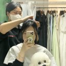 부산만삭사진 촬영 후기 오이드무아 스튜디오 촬영