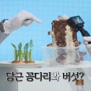 손수 이미지