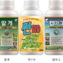 신화엔텍
