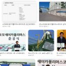 신 트레이드(SHIN TRADE) | 대기업 화학사 버리고 스미토모세이카폴리머스 택한 썰: 숨은 B2B 신의 직장 연봉과 워라밸 팩트체크