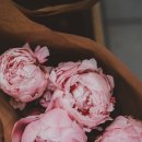 보들살롱 이미지