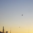 동이수산 이미지