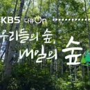 우리들의숲