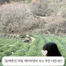 달래맨션 이미지