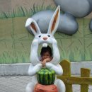 화왕산자연휴양림(창녕) 이미지