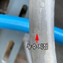 금정급수
