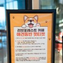 리브포레스트 | 영덕 대형 카페 추천 리브포레스트 바다뷰 애견동반 경북 여행 가볼만한곳