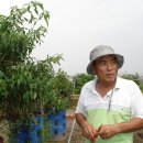 서씨농장 이미지