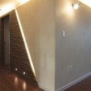 동아목련 이미지