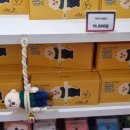 더타로 | 빵빵이의 타로집 더현대 대구 팝업 후기: 굿즈 판매, 웨이팅, 선착순 이벤트