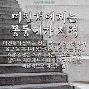 미친돼지 이미지