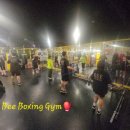 Bee Boxing Gym 이미지