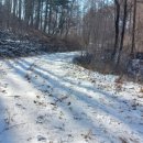 원일목장 이미지