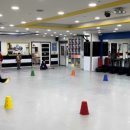 강한아이 태권도장 네이버블로그