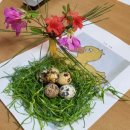 8797 푸드 이미지