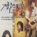 정글스토리
