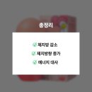 연홍