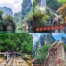 화랑가든 | 중국 장가계 패키지여행 보봉호수 십리화랑 금편계곡